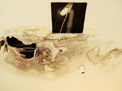 Professional basement flood restoration services services in Homestead - water damage restoration service